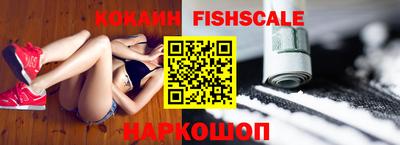 тгк Кингисепп