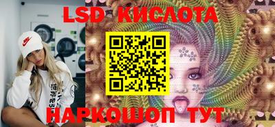 тгк Кингисепп