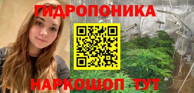 тгк Кингисепп