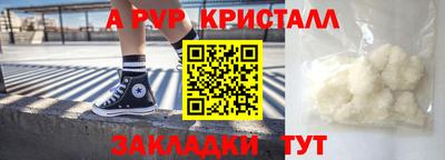 тгк Кингисепп
