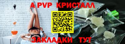 тгк Кингисепп