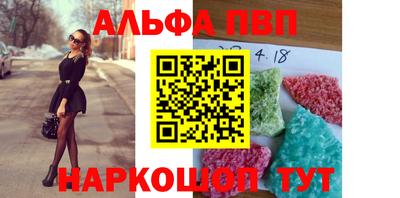 тгк Кингисепп