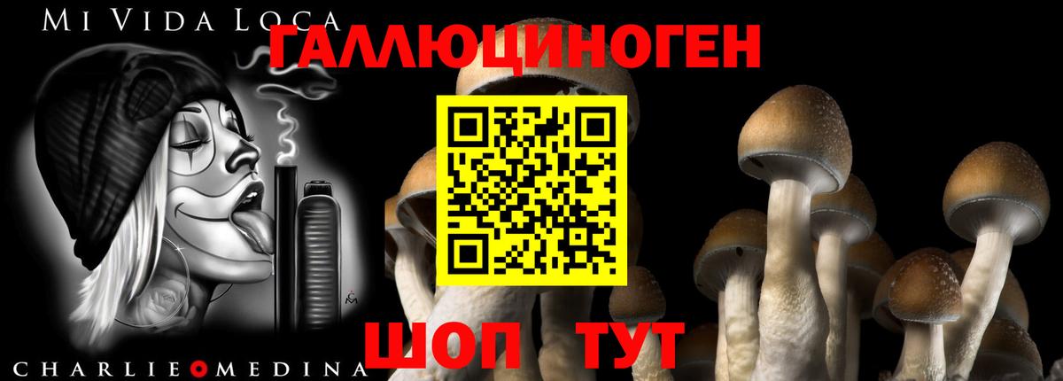 где продают   Галлюциногенные грибы Psilocybe  Вход с VPN  Кудрово  Галлюциногенные грибы ЛСД 